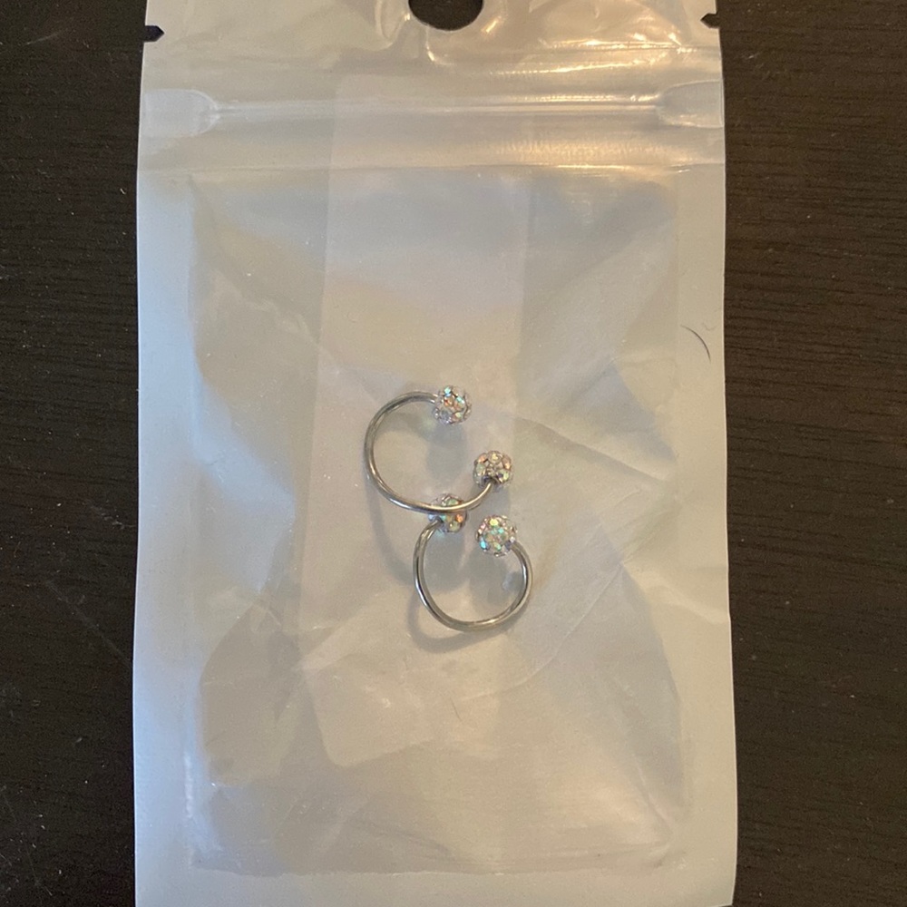 Small sliver hook earrings
